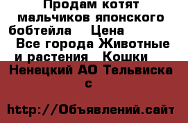 Продам котят мальчиков японского бобтейла. › Цена ­ 30 000 - Все города Животные и растения » Кошки   . Ненецкий АО,Тельвиска с.